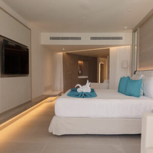 Platinum Junior Suite